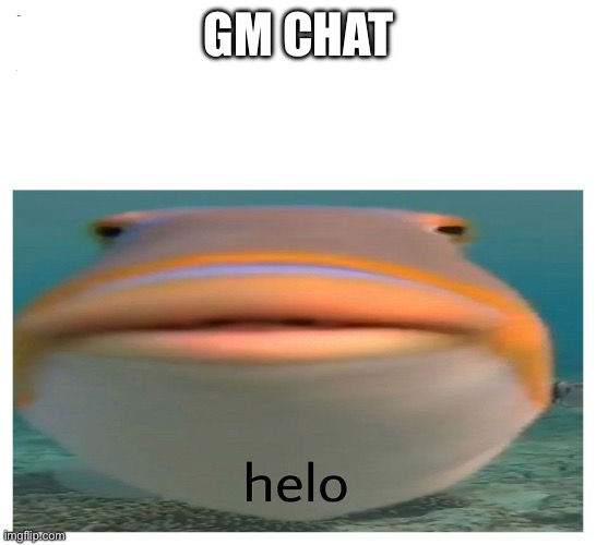 helo fish | GM CHAT | image tagged in helo fish | made w/ Imgflip meme maker