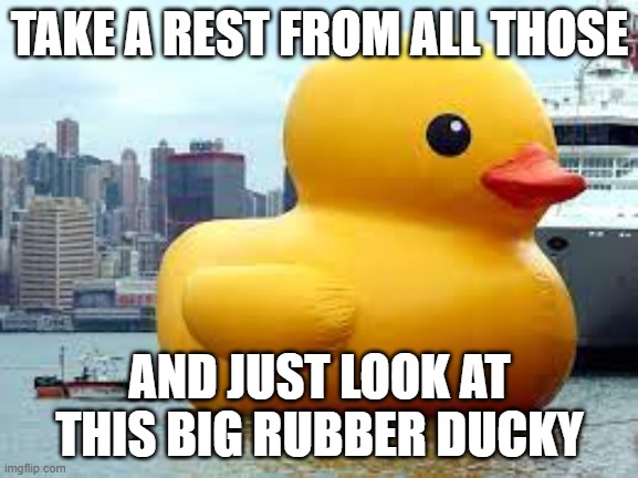 leave at anytime | TAKE A REST FROM ALL THOSE; AND JUST LOOK AT THIS BIG RUBBER DUCKY | image tagged in duck | made w/ Imgflip meme maker