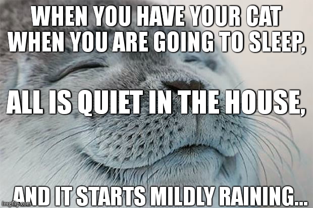 its so nice | WHEN YOU HAVE YOUR CAT WHEN YOU ARE GOING TO SLEEP, ALL IS QUIET IN THE HOUSE, AND IT STARTS MILDLY RAINING... | image tagged in memes,satisfied seal,relatable | made w/ Imgflip meme maker