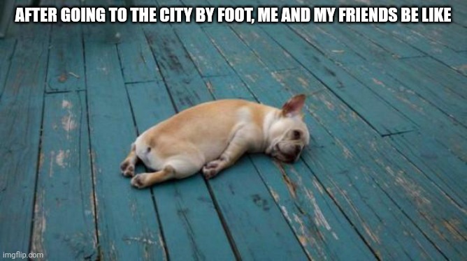 tired dog | AFTER GOING TO THE CITY BY FOOT, ME AND MY FRIENDS BE LIKE | image tagged in tired dog | made w/ Imgflip meme maker