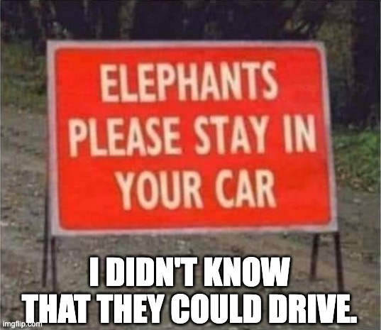 Elephants | I DIDN'T KNOW THAT THEY COULD DRIVE. | image tagged in dad joke | made w/ Imgflip meme maker
