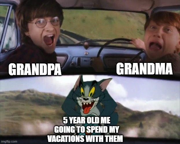 Tom chasing Harry and Ron Weasly | GRANDMA; GRANDPA; 5 YEAR OLD ME GOING TO SPEND MY VACATIONS WITH THEM | image tagged in tom chasing harry and ron weasly | made w/ Imgflip meme maker
