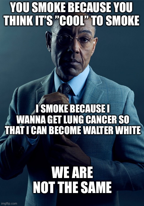 Gus Fring we are not the same | YOU SMOKE BECAUSE YOU THINK IT’S ”COOL” TO SMOKE; I SMOKE BECAUSE I WANNA GET LUNG CANCER SO THAT I CAN BECOME WALTER WHITE; WE ARE NOT THE SAME | image tagged in gus fring we are not the same | made w/ Imgflip meme maker