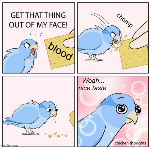 Bird eating cracker meme | blood; Woah... nice taste. | image tagged in bird eating cracker meme | made w/ Imgflip meme maker