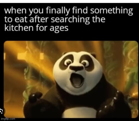 KUNG FU PANDA | image tagged in kung fu panda,panda,kitchen,funny,memes | made w/ Imgflip meme maker