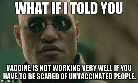 Matrix Morpheus Meme | WHAT IF I TOLD YOU VACCINE IS NOT WORKING VERY WELL IF YOU HAVE TO BE SCARED OF UNVACCINATED PEOPLE. | image tagged in memes,matrix morpheus | made w/ Imgflip meme maker