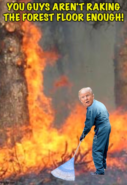 Raking Trump | YOU GUYS AREN'T RAKING THE FOREST FLOOR ENOUGH! | image tagged in raking trump | made w/ Imgflip meme maker