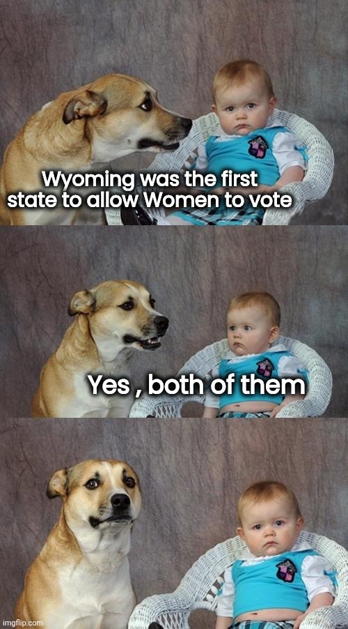 A Little History | Wyoming was the first state to allow Women to vote; Yes , both of them | image tagged in memes,dad joke dog,suffrage,voting,women rights | made w/ Imgflip meme maker