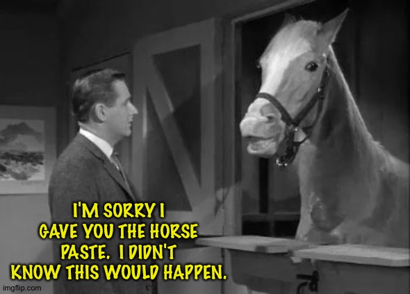 Mr Ed Ivermectin | I'M SORRY I GAVE YOU THE HORSE PASTE.  I DIDN'T KNOW THIS WOULD HAPPEN. | image tagged in mr ed ivermectin | made w/ Imgflip meme maker