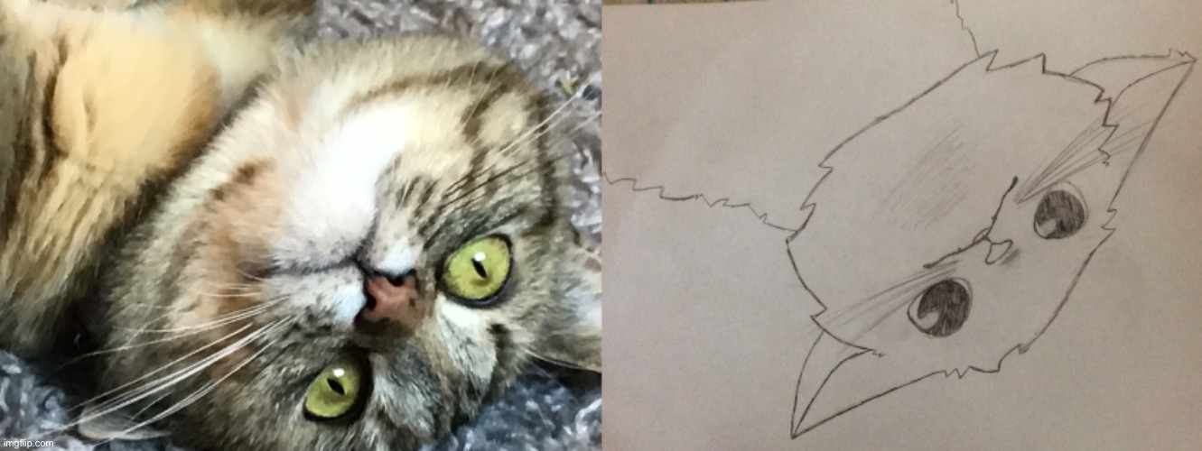 Yoda cat. Yes. YES. AHAH. | image tagged in i drew this at mcdonalds,lol | made w/ Imgflip meme maker