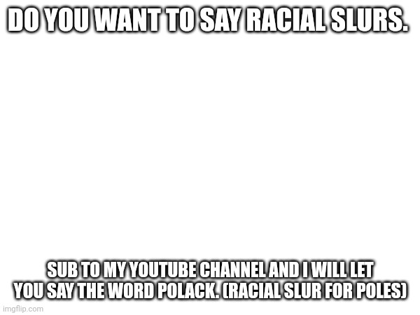 DO YOU WANT TO SAY RACIAL SLURS. SUB TO MY YOUTUBE CHANNEL AND I WILL LET YOU SAY THE WORD POLACK. (RACIAL SLUR FOR POLES) | made w/ Imgflip meme maker