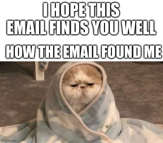 My computer is so laggy sometimes, my emails come in late and slowly | I HOPE THIS EMAIL FINDS YOU WELL; HOW THE EMAIL FOUND ME | image tagged in grumpy cat,blanket,email | made w/ Imgflip meme maker