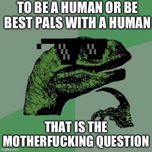 Swag | TO BE A HUMAN OR BE BEST PALS WITH A HUMAN; THAT IS THE MOTHERFUCKING QUESTION | image tagged in memes,philosoraptor | made w/ Imgflip meme maker