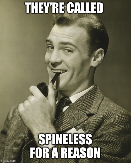 Smug | THEY’RE CALLED SPINELESS FOR A REASON | image tagged in smug | made w/ Imgflip meme maker