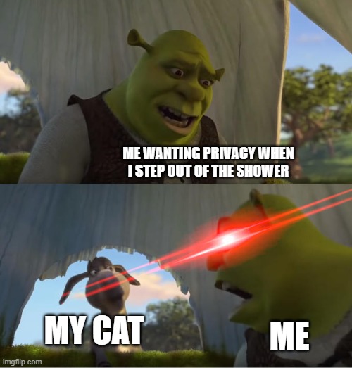 cats for some reason | ME WANTING PRIVACY WHEN I STEP OUT OF THE SHOWER; MY CAT; ME | image tagged in shrek for five minutes | made w/ Imgflip meme maker