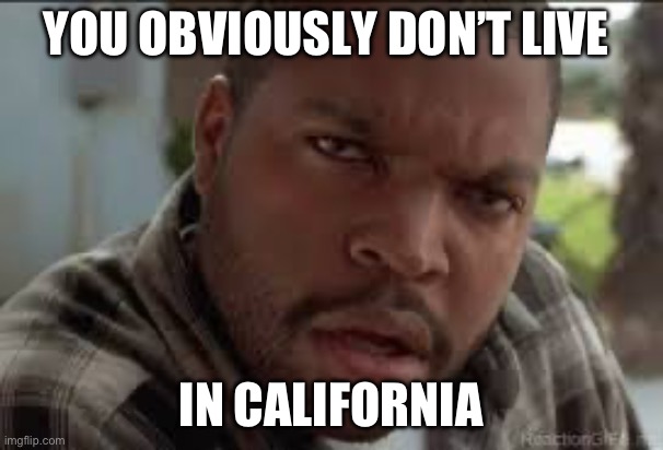 Dumb Ass | YOU OBVIOUSLY DON’T LIVE IN CALIFORNIA | image tagged in dumb ass | made w/ Imgflip meme maker