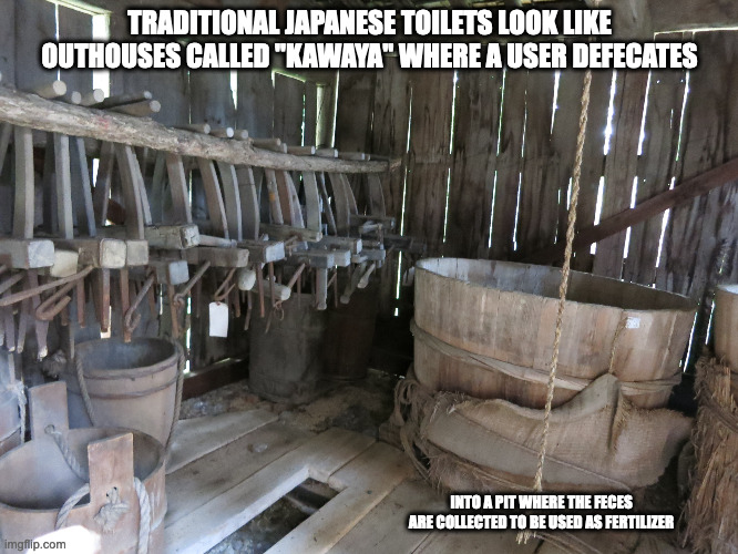 Traditional Japanese Toliet | TRADITIONAL JAPANESE TOILETS LOOK LIKE OUTHOUSES CALLED "KAWAYA" WHERE A USER DEFECATES; INTO A PIT WHERE THE FECES ARE COLLECTED TO BE USED AS FERTILIZER | image tagged in toliet,memes,outhouse | made w/ Imgflip meme maker