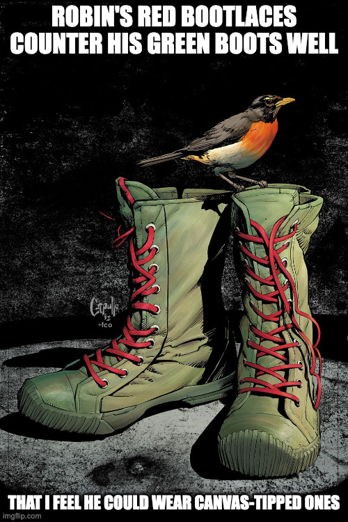 Robin's Boots | ROBIN'S RED BOOTLACES COUNTER HIS GREEN BOOTS WELL; THAT I FEEL HE COULD WEAR CANVAS-TIPPED ONES | image tagged in boots,robin,dc,memes | made w/ Imgflip meme maker