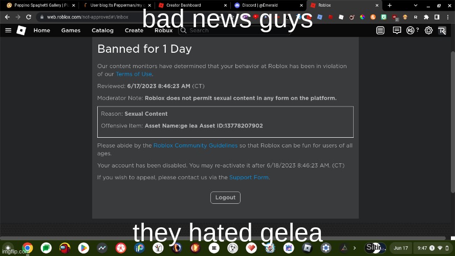 i got banned for trying to upload a image of one of my ocs | bad news guys; they hated gelea | image tagged in banned from roblox | made w/ Imgflip meme maker