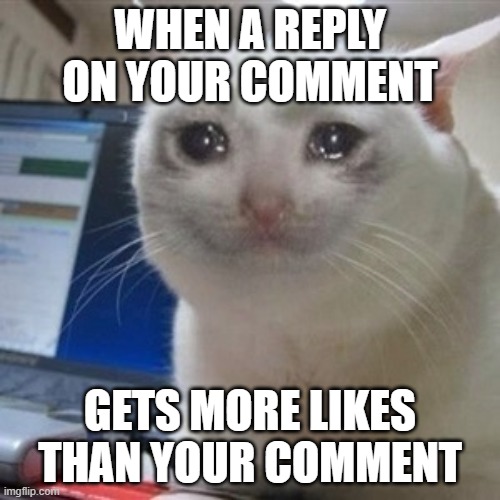 Crying cat | WHEN A REPLY ON YOUR COMMENT; GETS MORE LIKES THAN YOUR COMMENT | image tagged in crying cat | made w/ Imgflip meme maker