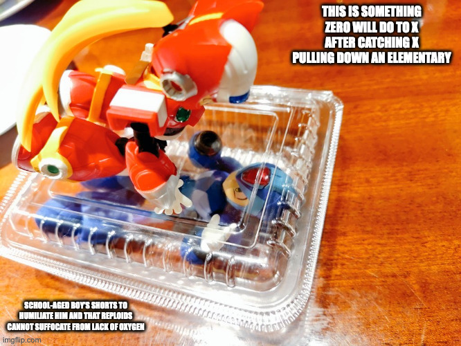Zero Putting X Into Plastic Box | THIS IS SOMETHING ZERO WILL DO TO X AFTER CATCHING X PULLING DOWN AN ELEMENTARY; SCHOOL-AGED BOY'S SHORTS TO HUMILIATE HIM AND THAT REPLOIDS CANNOT SUFFOCATE FROM LACK OF OXYGEN | image tagged in zero,x,megaman,megaman x,memes | made w/ Imgflip meme maker