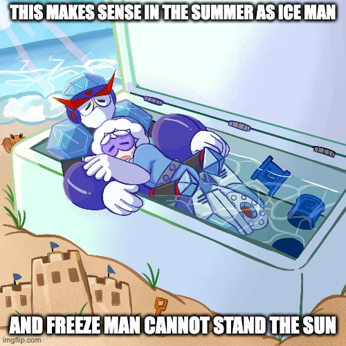 Ice Man and Freeze Man in a Freezer | THIS MAKES SENSE IN THE SUMMER AS ICE MAN; AND FREEZE MAN CANNOT STAND THE SUN | image tagged in iceman,freezeman,megaman,memes | made w/ Imgflip meme maker
