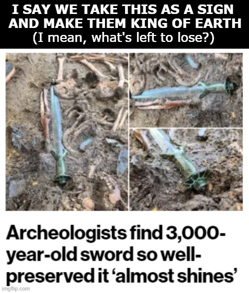 I SAY WE TAKE THIS AS A SIGN 
AND MAKE THEM KING OF EARTH; (I mean, what's left to lose?) | image tagged in king,sword,earth,leadership,archaeology | made w/ Imgflip meme maker