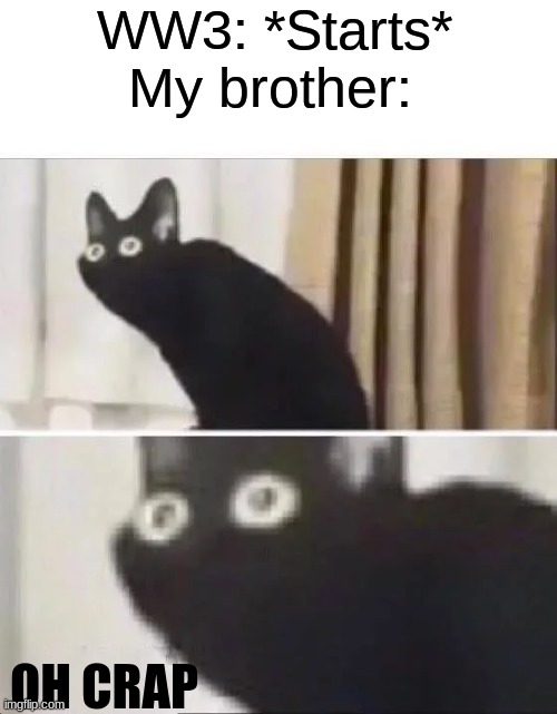 Oh No Black Cat | WW3: *Starts*
        My brother:; OH CRAP | image tagged in oh no black cat | made w/ Imgflip meme maker