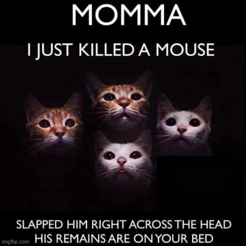 Cathoemian Rhapsody | image tagged in music pun | made w/ Imgflip meme maker