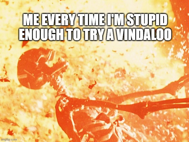 Fire skeleton | ME EVERY TIME I'M STUPID ENOUGH TO TRY A VINDALOO | image tagged in fire skeleton | made w/ Imgflip meme maker