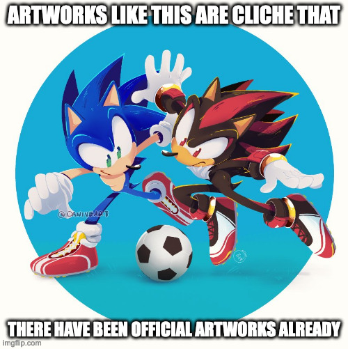 Sonic and Shadow Playing Soccer | ARTWORKS LIKE THIS ARE CLICHE THAT; THERE HAVE BEEN OFFICIAL ARTWORKS ALREADY | image tagged in soccer,sonic the hedgehog,shadow the hedgehog,memes | made w/ Imgflip meme maker
