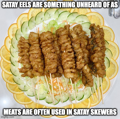 Satay Eels | SATAY EELS ARE SOMETHING UNHEARD OF AS; MEATS ARE OFTEN USED IN SATAY SKEWERS | image tagged in food,memes | made w/ Imgflip meme maker