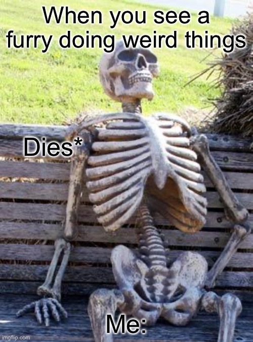 Why??? | When you see a furry doing weird things; Dies*; Me: | image tagged in memes,waiting skeleton | made w/ Imgflip meme maker