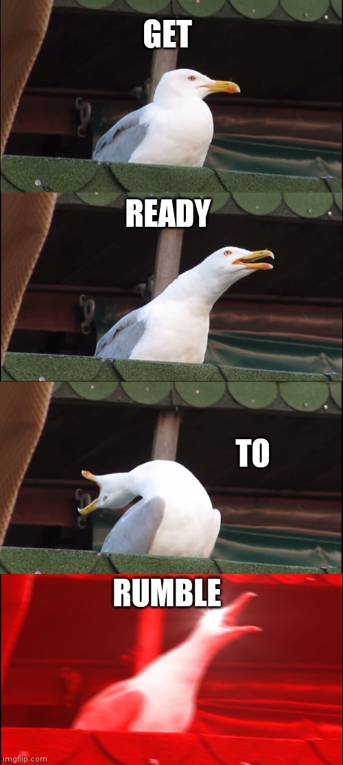 Inhaling Seagull | GET; READY; TO; RUMBLE | image tagged in memes,inhaling seagull | made w/ Imgflip meme maker