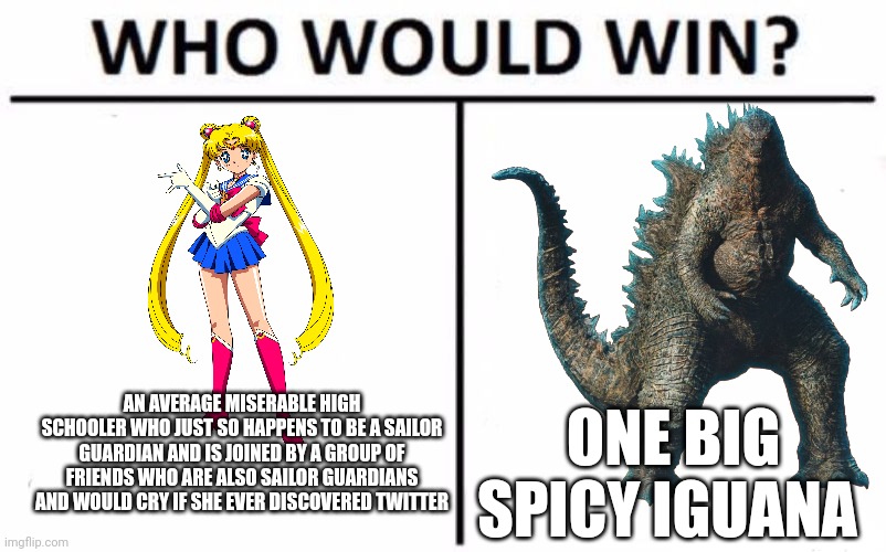 Any bets for big spicy iguana? | AN AVERAGE MISERABLE HIGH SCHOOLER WHO JUST SO HAPPENS TO BE A SAILOR GUARDIAN AND IS JOINED BY A GROUP OF FRIENDS WHO ARE ALSO SAILOR GUARDIANS AND WOULD CRY IF SHE EVER DISCOVERED TWITTER; ONE BIG SPICY IGUANA | image tagged in memes,who would win | made w/ Imgflip meme maker