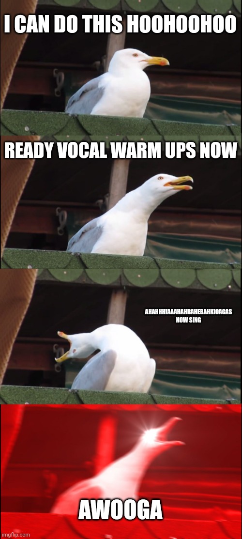 Inhaling Seagull | I CAN DO THIS HOOHOOHOO; READY VOCAL WARM UPS NOW; AHAHHH!AAAHAHBAHEBAHKIOAGAS NOW SING; AWOOGA | image tagged in memes,inhaling seagull | made w/ Imgflip meme maker