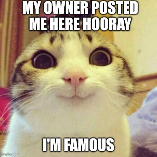 Smiling Cat Meme | MY OWNER POSTED ME HERE HOORAY; I'M FAMOUS | image tagged in memes,smiling cat | made w/ Imgflip meme maker