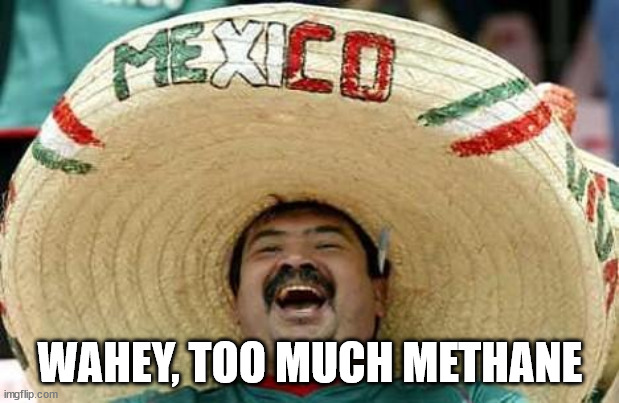 Mexico | WAHEY, TOO MUCH METHANE | image tagged in mexico | made w/ Imgflip meme maker