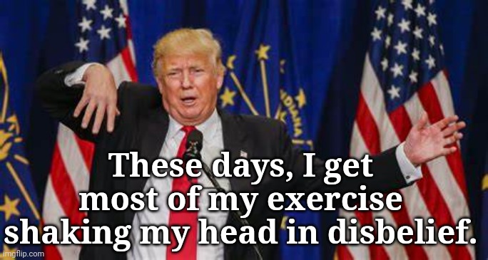 Unbelievable | These days, I get most of my exercise shaking my head in disbelief. | image tagged in dump trump,hypocrisy,liar,criminal | made w/ Imgflip meme maker