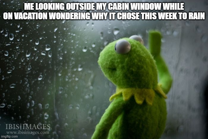 kermit window | ME LOOKING OUTSIDE MY CABIN WINDOW WHILE ON VACATION WONDERING WHY IT CHOSE THIS WEEK TO RAIN | image tagged in kermit window | made w/ Imgflip meme maker