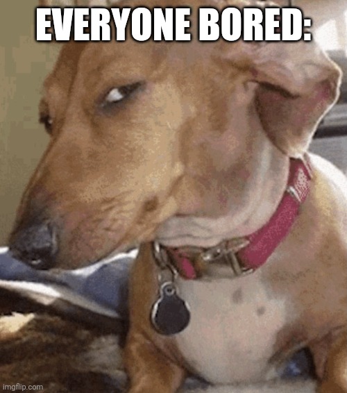 Side eye dog | EVERYONE BORED: | image tagged in side eye dog | made w/ Imgflip meme maker