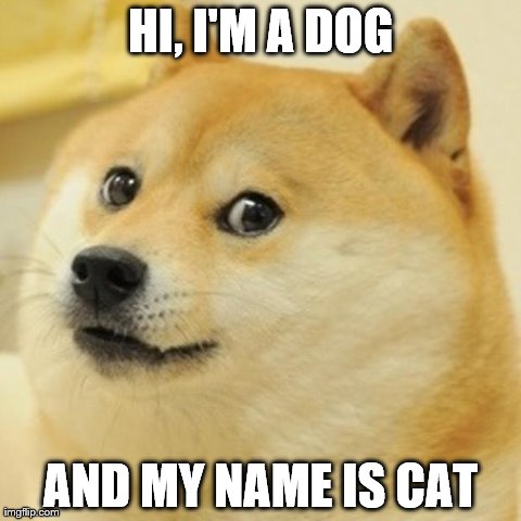 Doge Meme | HI, I'M A DOG AND MY NAME IS CAT | image tagged in memes,doge | made w/ Imgflip meme maker