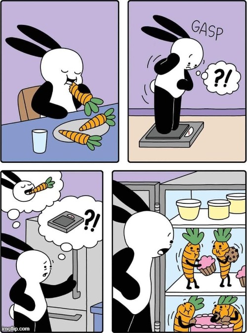 A 24 Carrot Diet is like Gold, in that it makes you gain weight | image tagged in vince vance,carrots,diet,dessert,memes,comics/cartoons | made w/ Imgflip meme maker