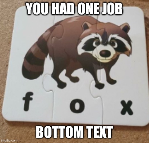 You had one job and failed it. In every way shape or form. | YOU HAD ONE JOB; BOTTOM TEXT | image tagged in fox raccoon | made w/ Imgflip meme maker