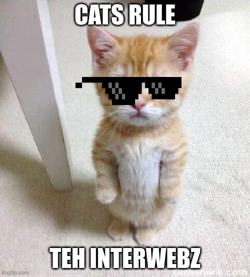 Cute Cat Meme | CATS RULE; TEH INTERWEBZ | image tagged in memes,cute cat | made w/ Imgflip meme maker