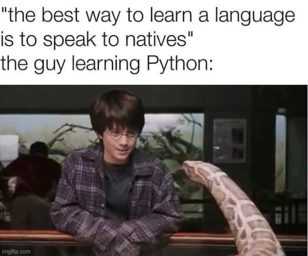 image tagged in memes,funny,harry potter,snakes,language,repost | made w/ Imgflip meme maker