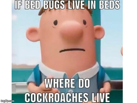 Ummm... | image tagged in cockroaches | made w/ Imgflip meme maker