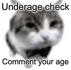 dripped out cat | Underage check; Comment your age | image tagged in dripped out cat | made w/ Imgflip meme maker