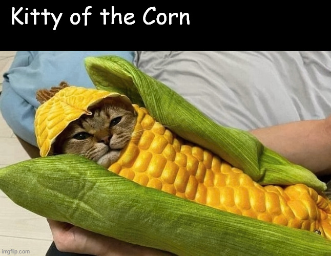 Corn Kitty | Kitty of the Corn | image tagged in memes,cats,kittens,corn cat,corn | made w/ Imgflip meme maker