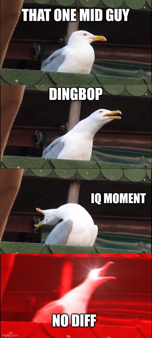 Inhaling Seagull | THAT ONE MID GUY; DINGBOP; IQ MOMENT; NO DIFF | image tagged in memes,inhaling seagull | made w/ Imgflip meme maker